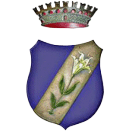 Logo del comune di San Giuseppe Vesuviano